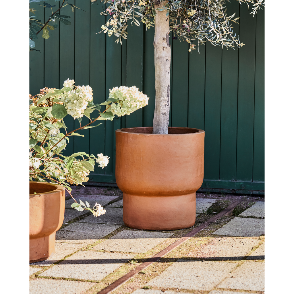 Terra Pot