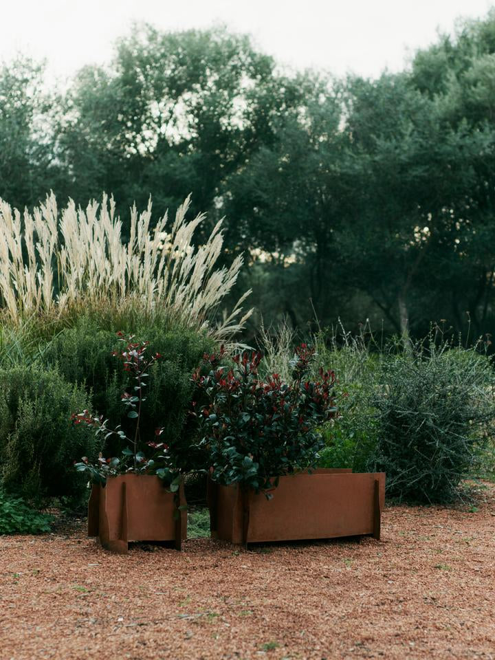 Lapel Planter